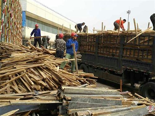 ����ľ�������Ԓ���߃r�����fľ��