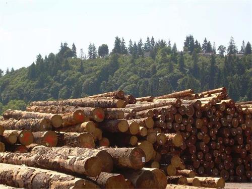 �ȷ�ľ�Ļ������Aľ�������Uľ�^����