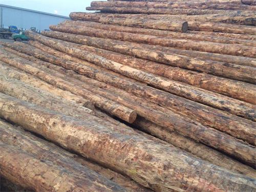 ��ľ�Ļ��Ճr(ji��)��|��(b��o)�r(ji��)_����ľ�Ļ��ա�