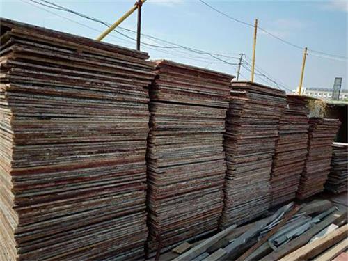 �����߃r(ji��)���ն���ľ��ľ�z�����z��