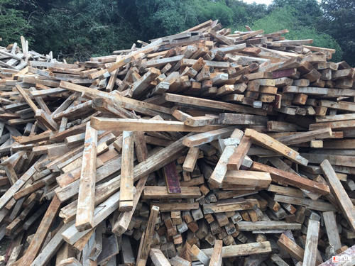 �����˽�U�fľ������C